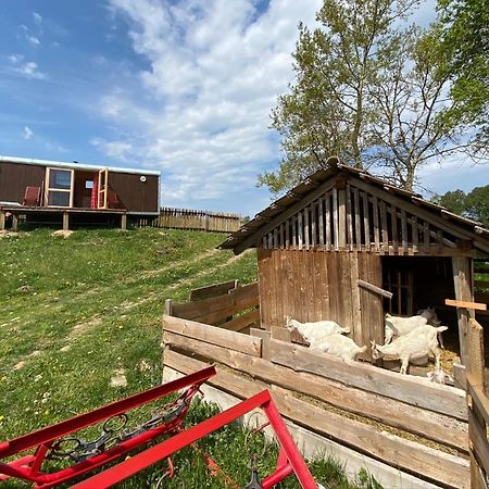 Hotel Maringotka Na Samote Na Kozi Farme Pobezovice Exteriér fotografie